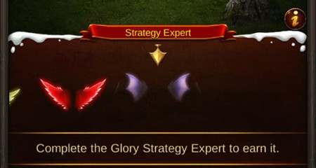 Strategy Expert Wing